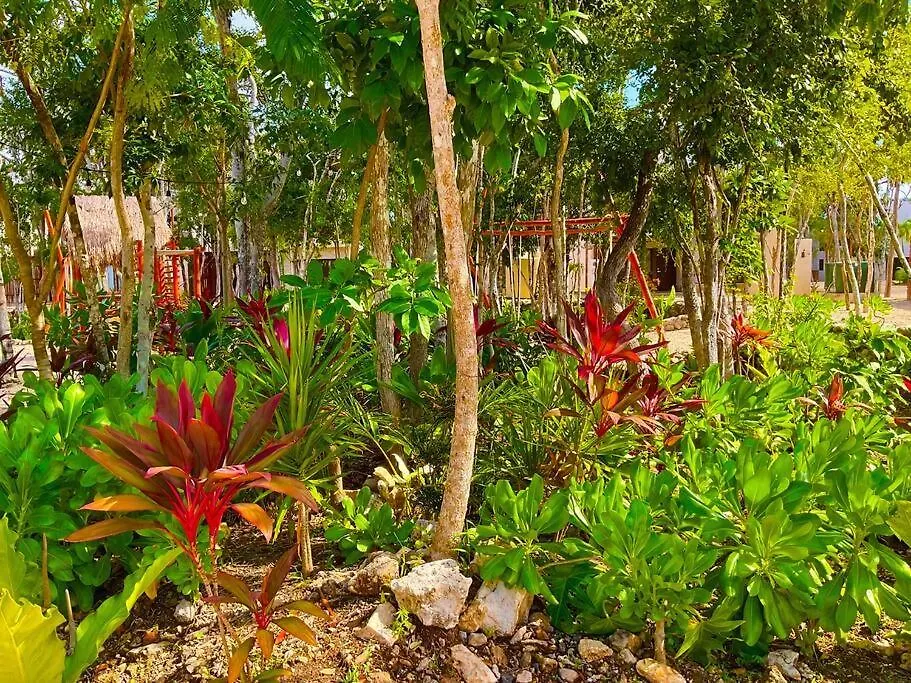 Tulum Selva Norte 0*,  Mexico