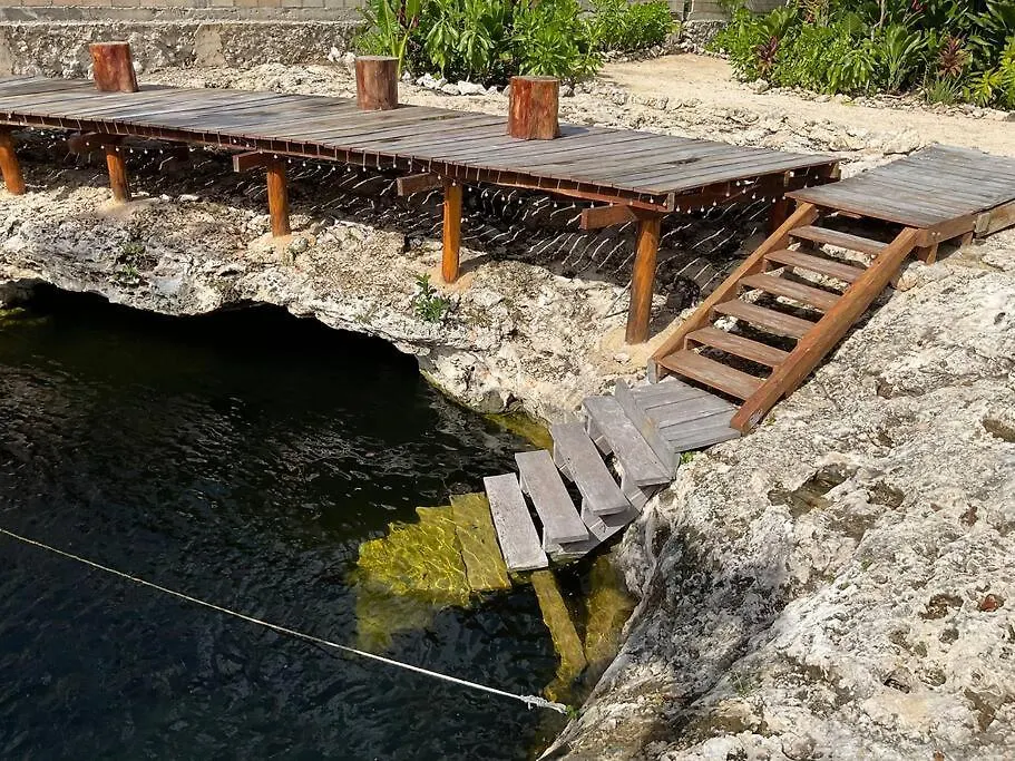Tulum Selva Norte