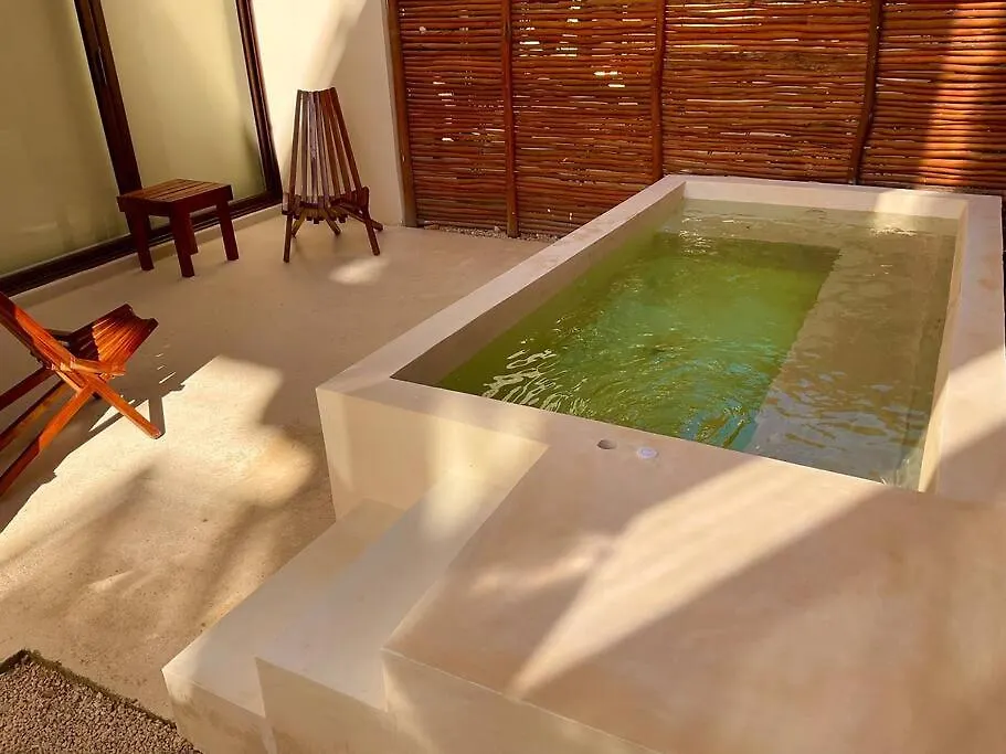 Apartment Tulum Selva Norte Mexico