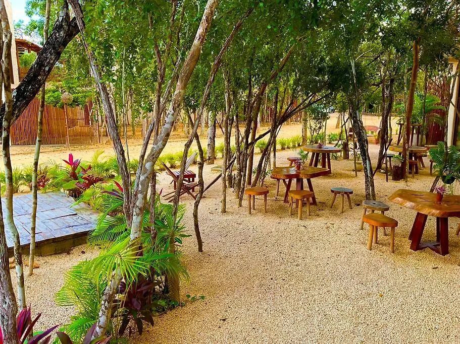 Tulum Selva Norte