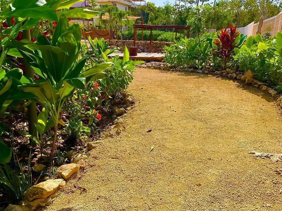 Tulum Selva Norte 0*,